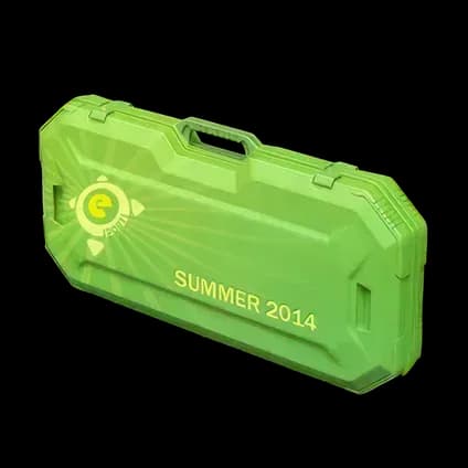 Летний кейс eSports 2014