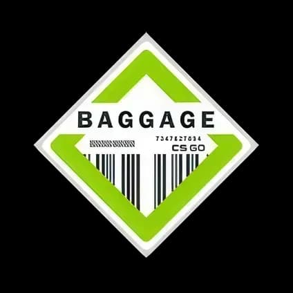 Коллекция "Baggage"