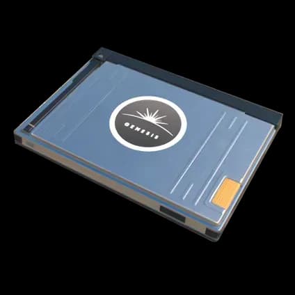 Терминал генезис