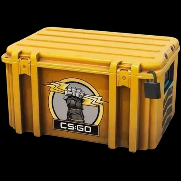 Glove Case