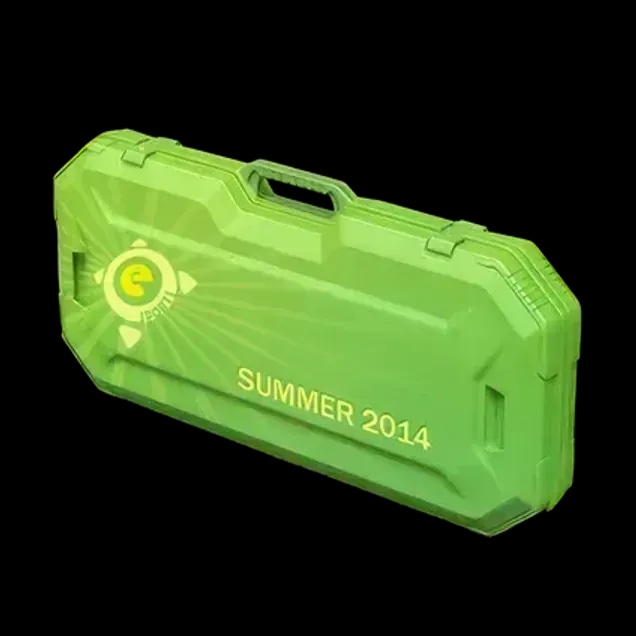Летний кейс eSports 2014