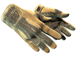 ★ Sport Gloves | Arid