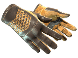 ★ Driver Gloves | Overtake