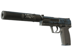 USP-S | Guardian