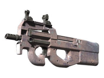P90 | Помой меня