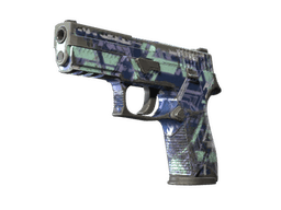 P250 | Digital Architect