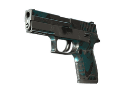 StatTrak™ P250 | Ripple