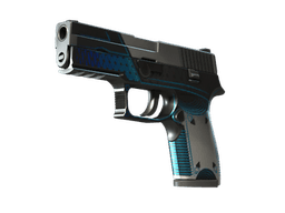 StatTrak™ P250 | Валентность