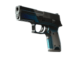 StatTrak™ P250 | Valence