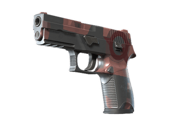 P250 | Constructivist