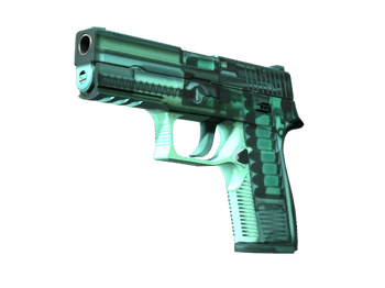 P250 | Рентген