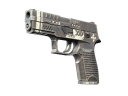 P250 | Re.built