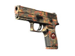 P250 | Red Rock