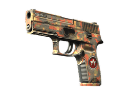 StatTrak™ P250 | Красный камень