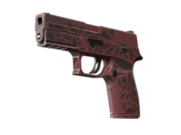 P250 | Загрязнитель