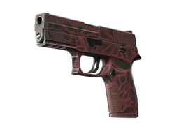 P250 | Загрязнитель