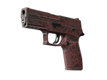 P250 | Загрязнитель