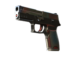 P250 | Cyber Shell