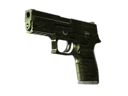 P250 | Железное покрытие