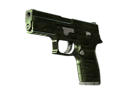 StatTrak™ P250 | Iron Clad
