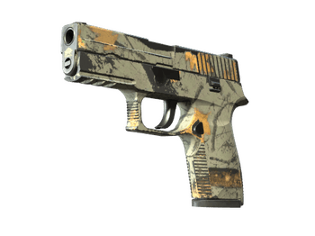 P250 | Современный охотник