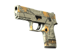 P250 | Modern Hunter