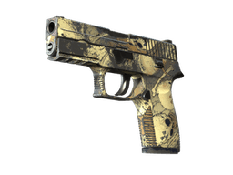 P250 | Заражение