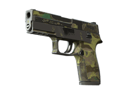 P250 | Северный лес