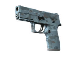 P250 | Forest Night