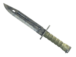 ★ Bayonet | Stained