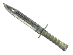 ★ StatTrak™ Bayonet | Stained