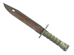 ★ StatTrak™ Bayonet | Rust Coat