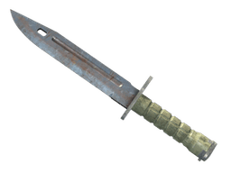 ★ StatTrak™ Bayonet | Rust Coat