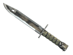 ★ Bayonet | Scorched