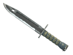 ★ StatTrak™ Bayonet | Night
