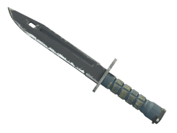 ★ StatTrak™ Bayonet | Night