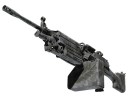 M249 | Полуночная пальма