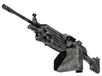 M249 | Полуночная пальма