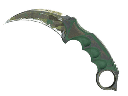 ★ Karambit | Boreal Forest