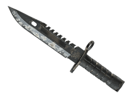 ★ M9 Bayonet | Scorched