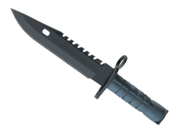 ★ M9 Bayonet | Night