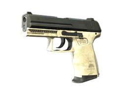 StatTrak™ P2000 | Ivory