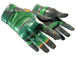 ★ Moto Gloves | Turtle