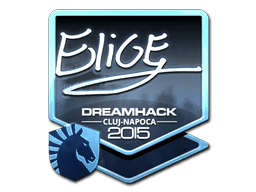 Sticker | EliGE | Cluj-Napoca 2015