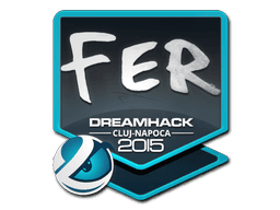 Наклейка | fer | Клуж-Напока 2015