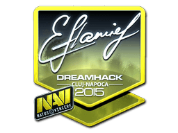 Sticker | flamie | Cluj-Napoca 2015