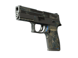 P250 | Обменник