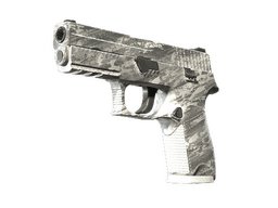 P250 | Sleet