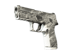 P250 | Sleet
